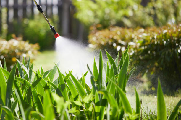24/7 Emergency Ant Control experts in Taft, CA